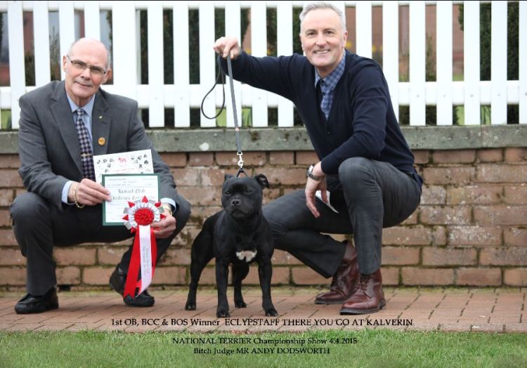 Andy Dodsworth NATIONAL TERRIER 4.4